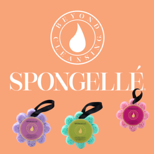 Spongelle Products